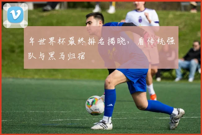 年世界杯最终排名揭晓，看传统强队与黑马归宿