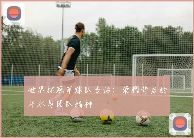 世界杯冠军球队专访：荣耀背后的汗水与团队精神