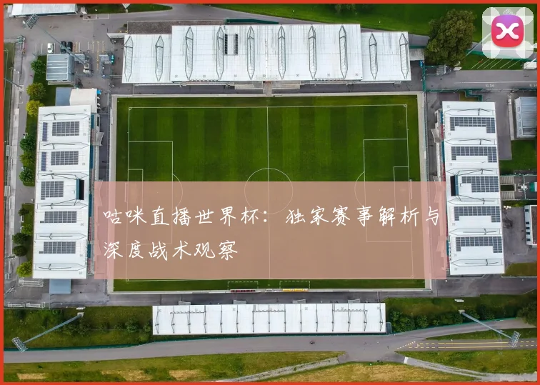 咕咪直播世界杯：独家赛事解析与深度战术观察
