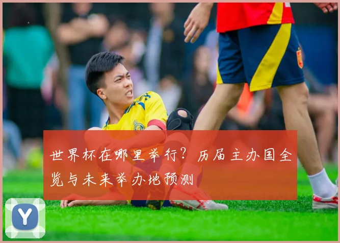 世界杯在哪里举行？历届主办国全览与未来举办地预测